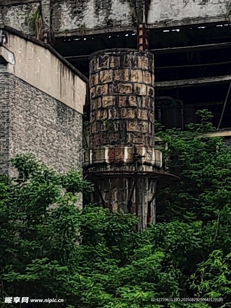 废弃水塔隐于绿植间