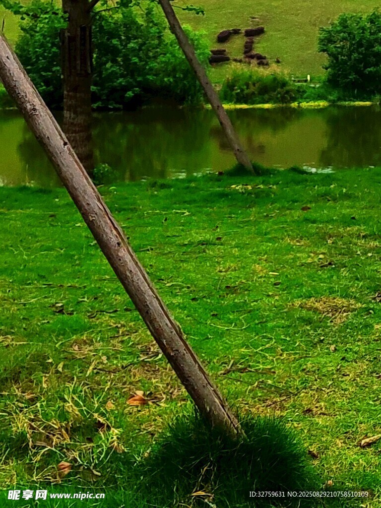 湖畔草地与倾斜木杆景致