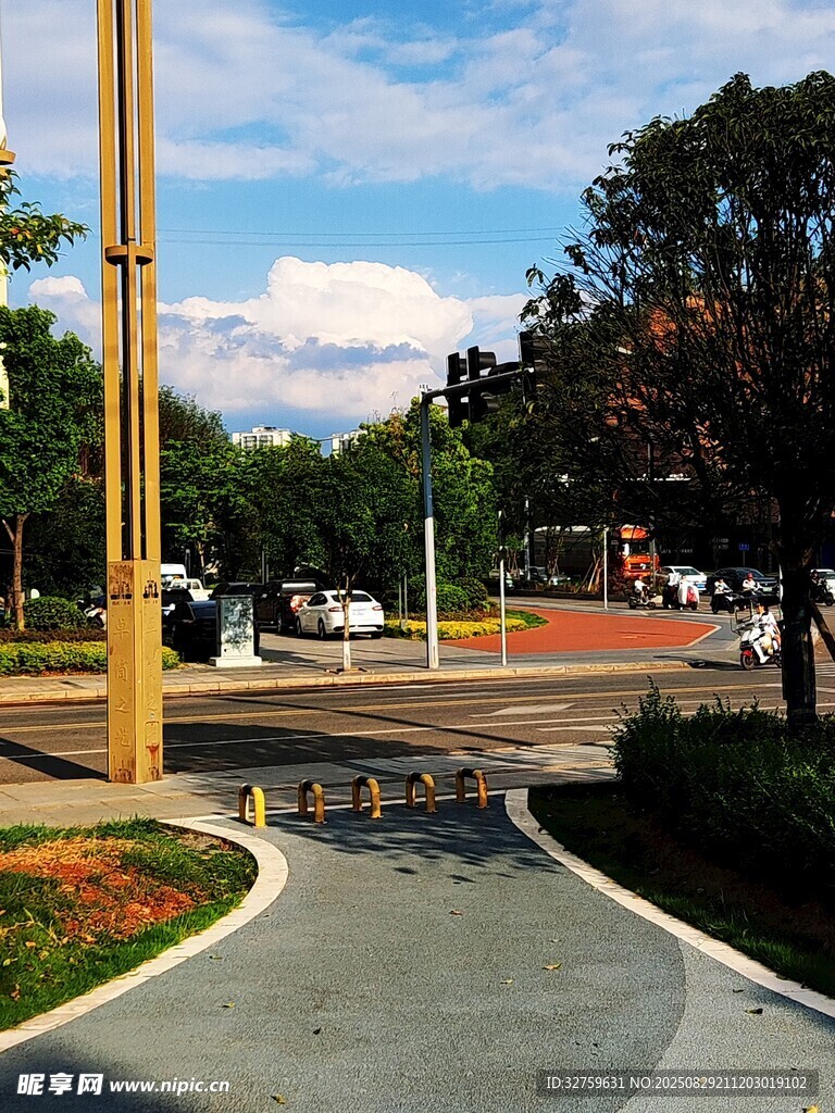 城市公园中的开阔道路景观