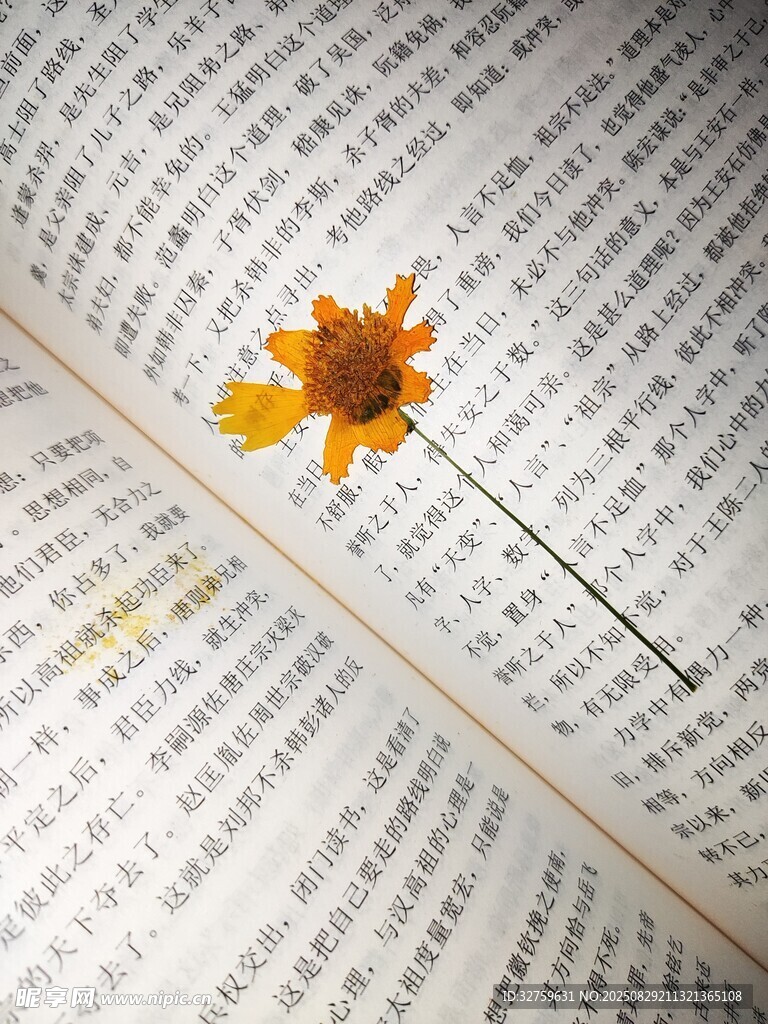 书页上的娇艳小花