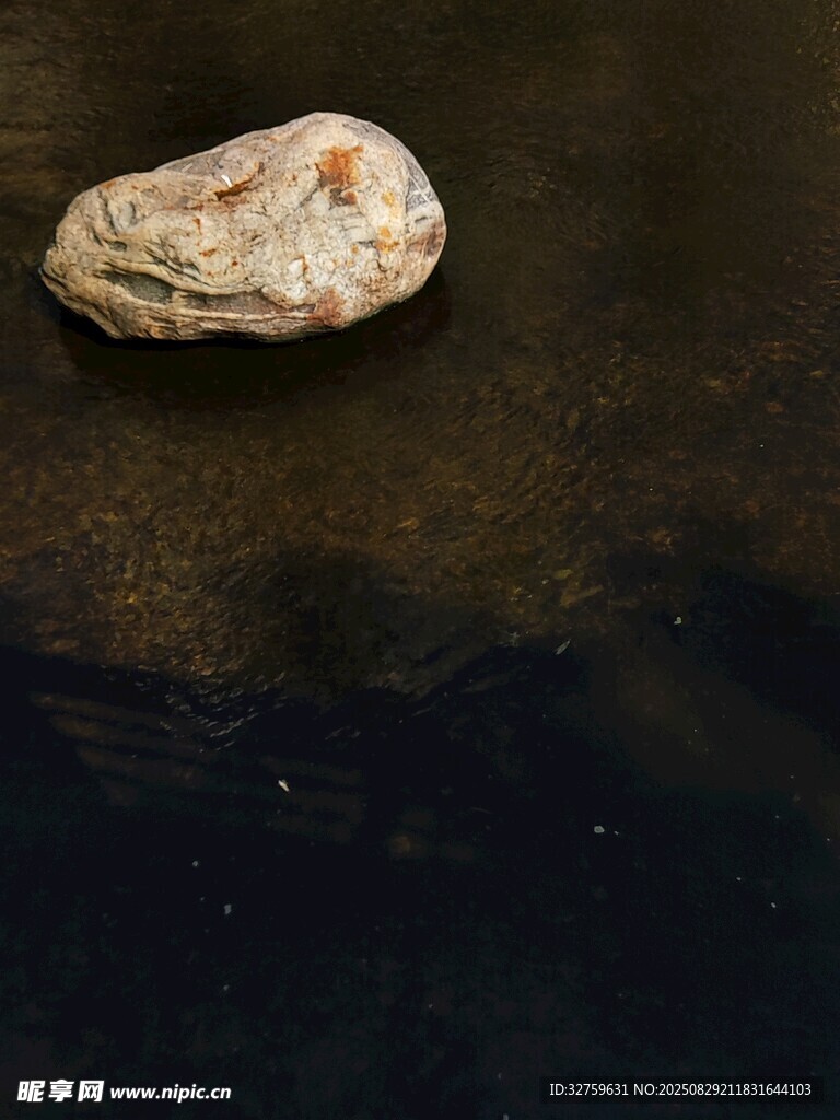 水中孤立的一块浅色石头