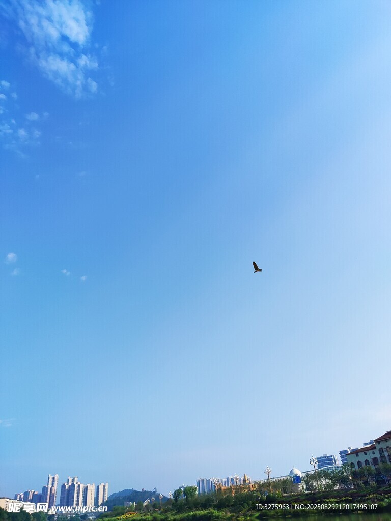蓝天绿树间的城市天际线