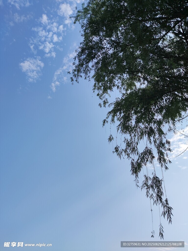 蓝天绿树