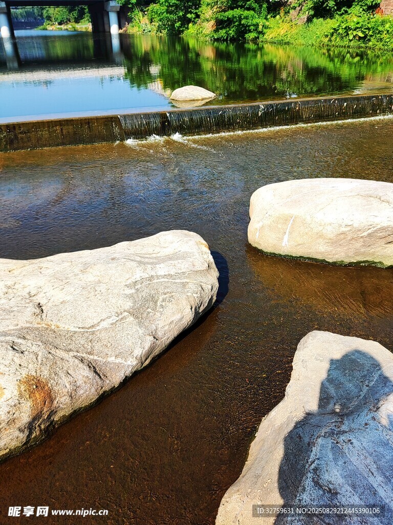 庭院中的特色石头景观