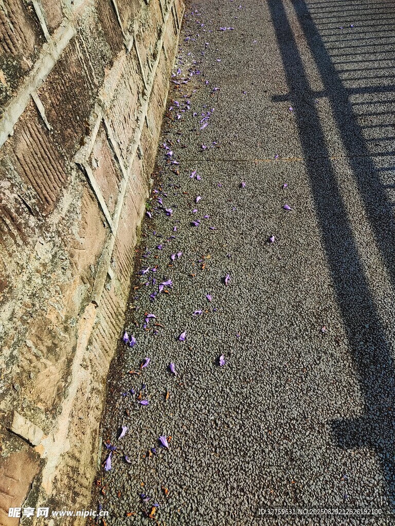 墙边地面的光影与花瓣