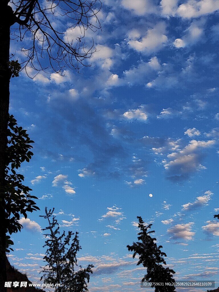 蓝天绿树间的梦幻云朵