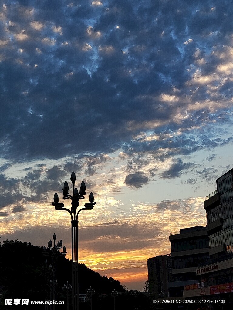 夕阳下的城市路灯景观