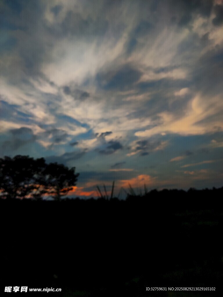 黄昏时分的天空与树木