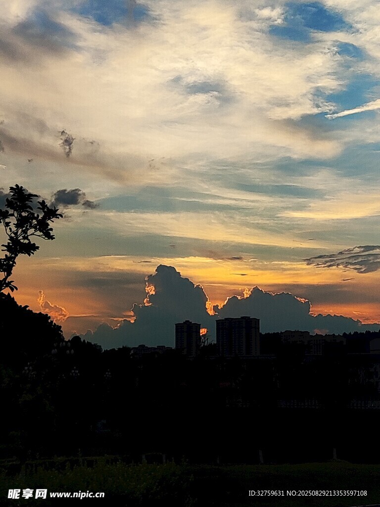 黄昏时分的天空与树影