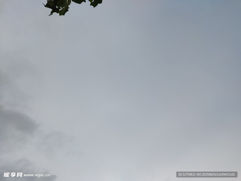 空中