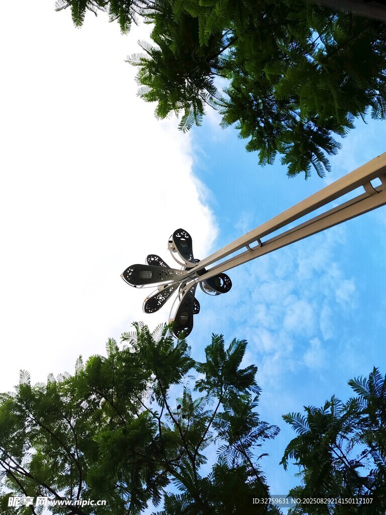 林间索道缆车向上穿行