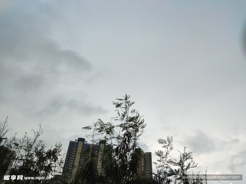 天空下的树木与建筑轮廓