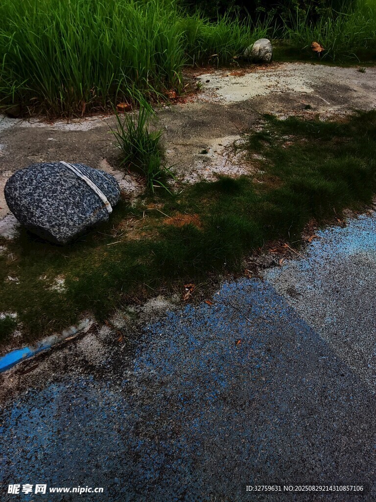 溪边岩石与绿植景观