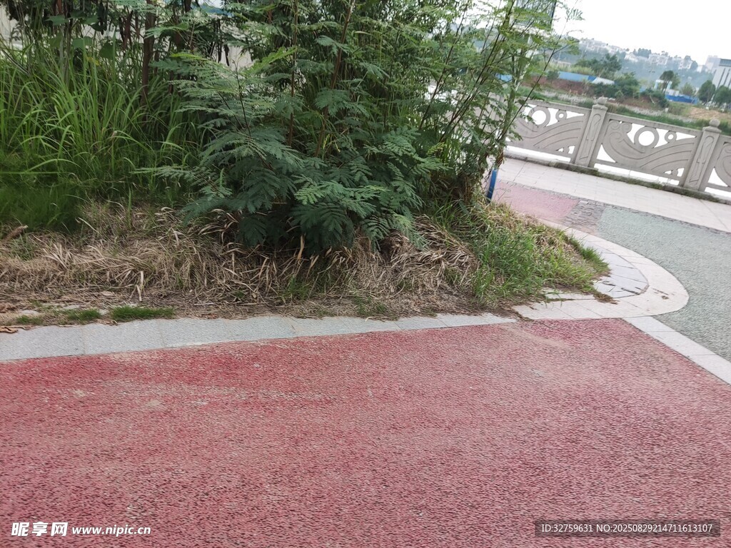 红色步道旁的绿植景观
