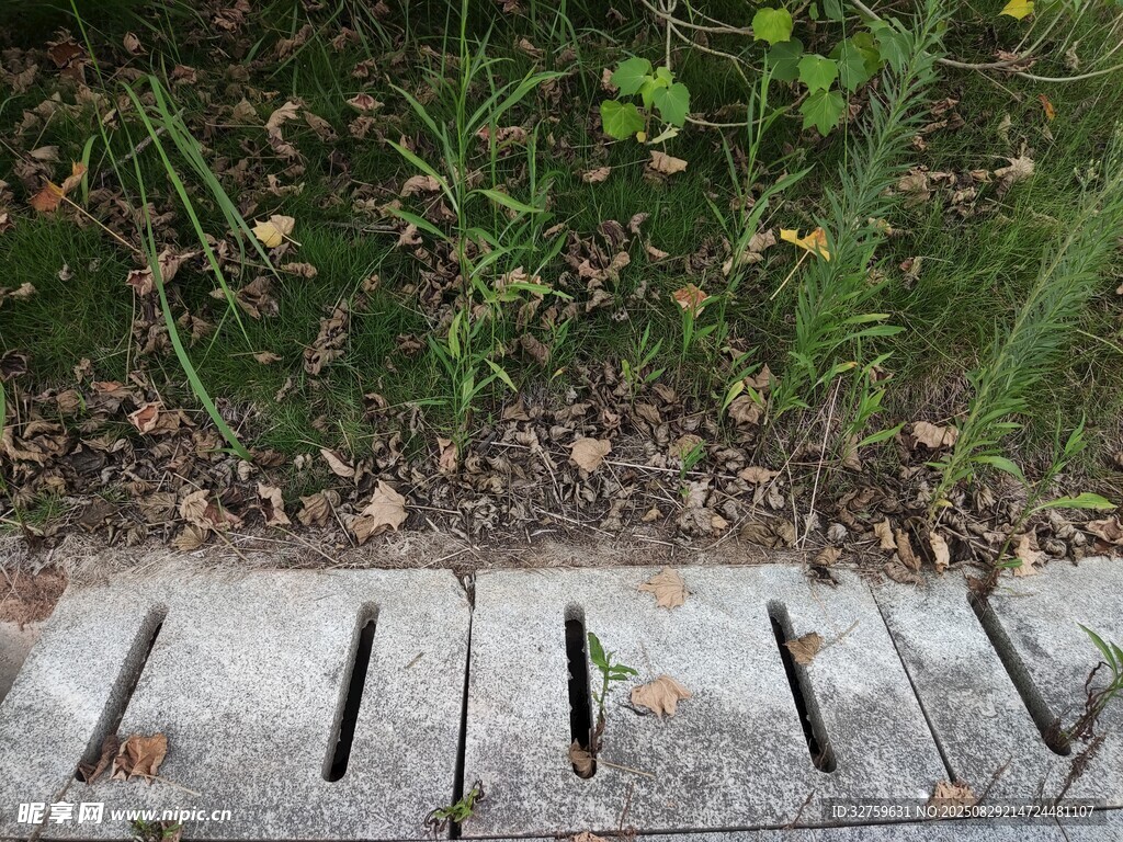 户外草地旁的排水金属格栅