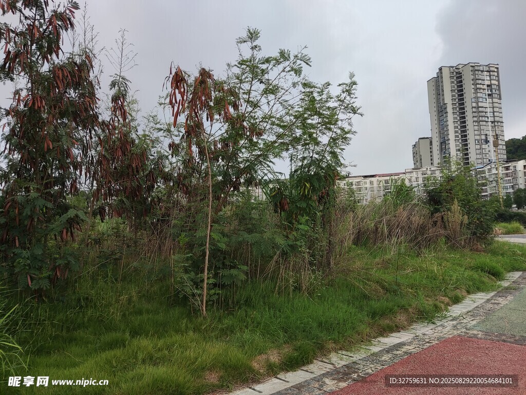 城郊绿植环绕的红色步道
