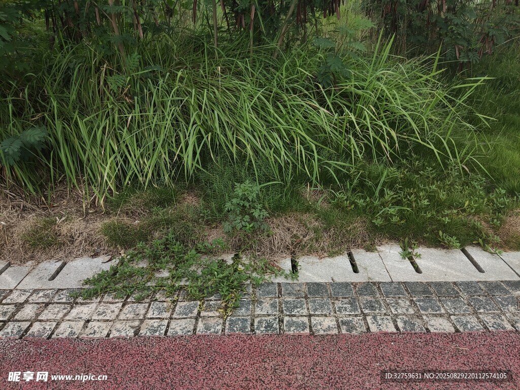 路边绿植与砖石景观