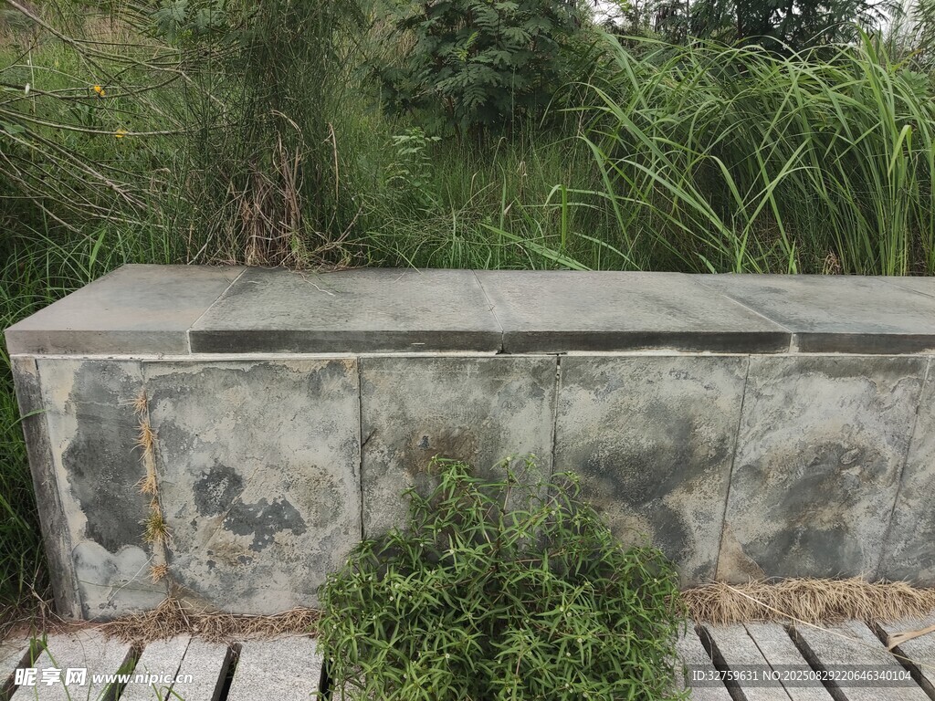 石砌花池旁的翠绿植物