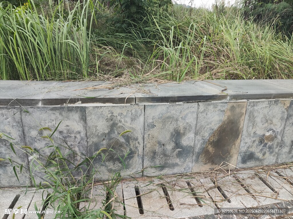 石砌矮墙旁的绿植景观