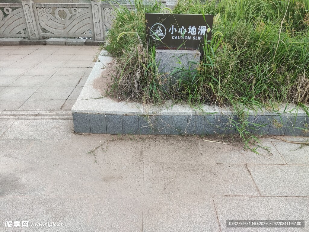 名人墓旁的绿植与石碑