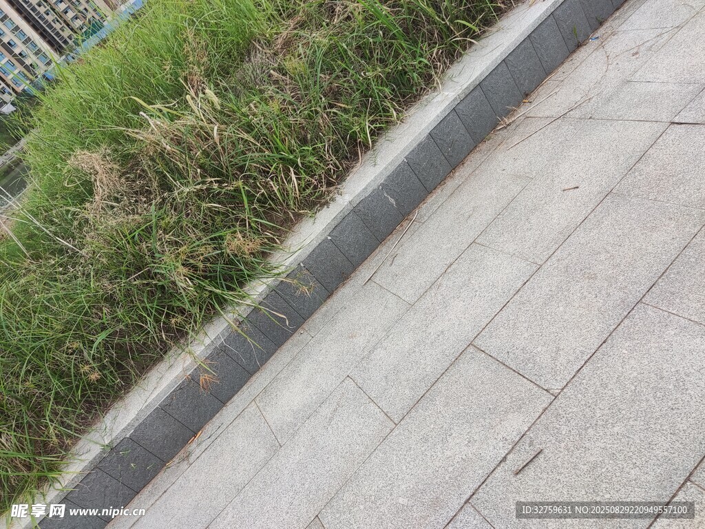 路边草地与石板路面