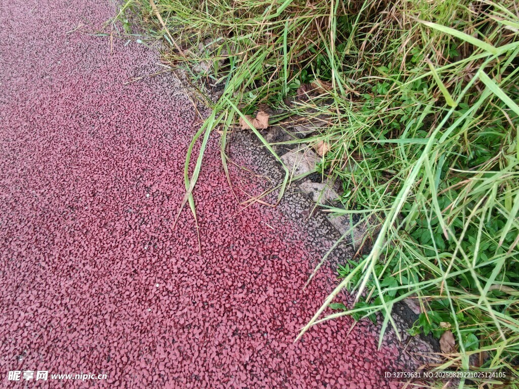 红色步道旁的翠绿野草