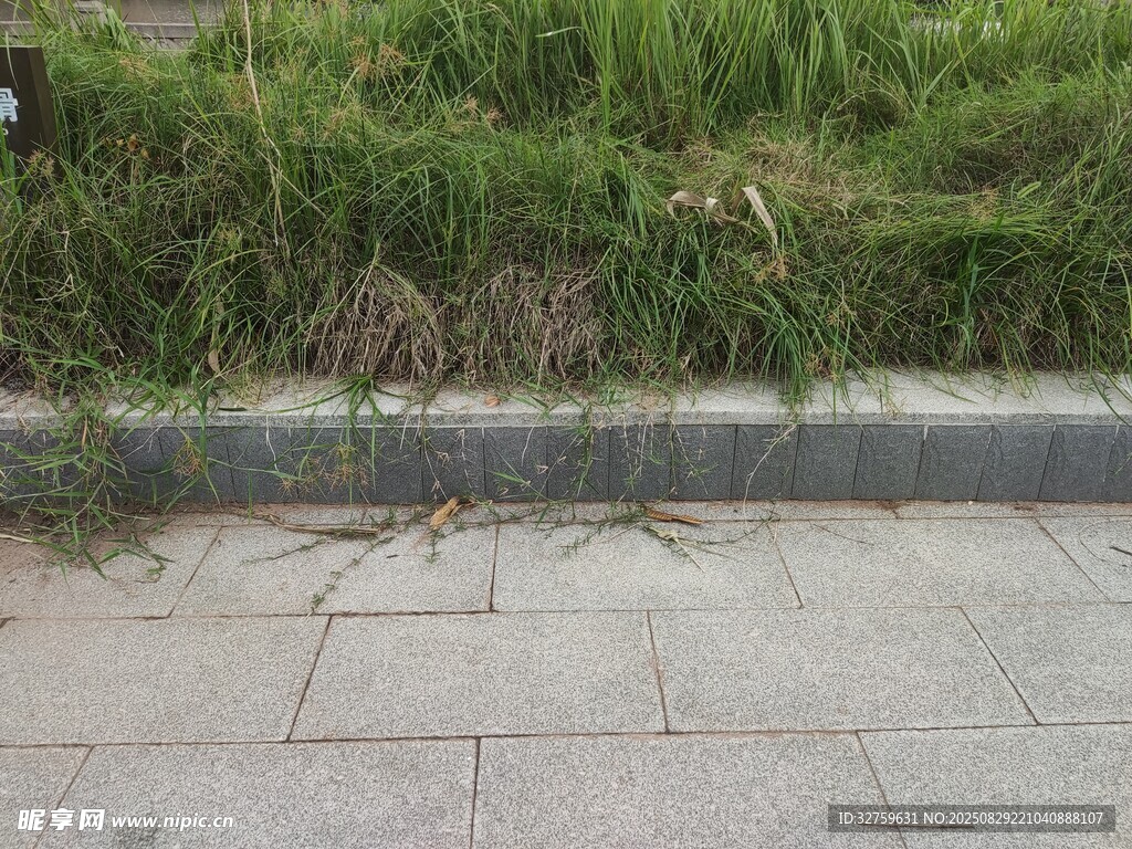 路边草地旁的石板路面
