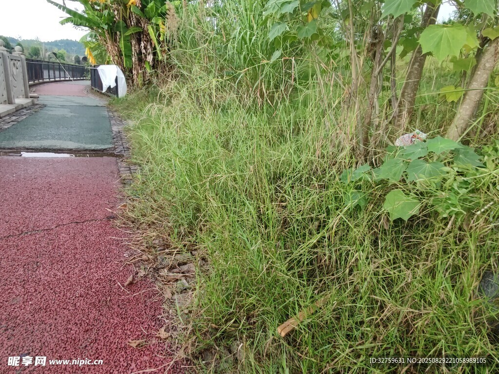 红色步道旁的繁茂绿植