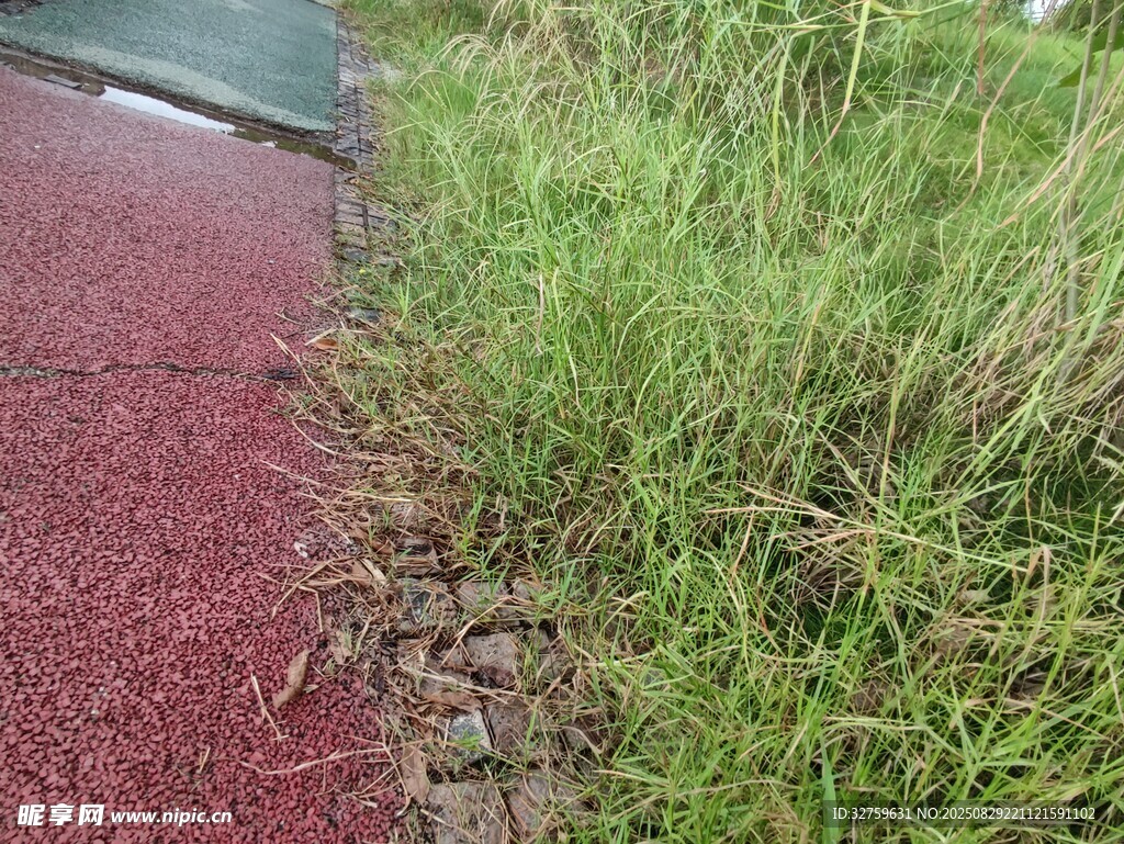 路边草地与红色地面景观