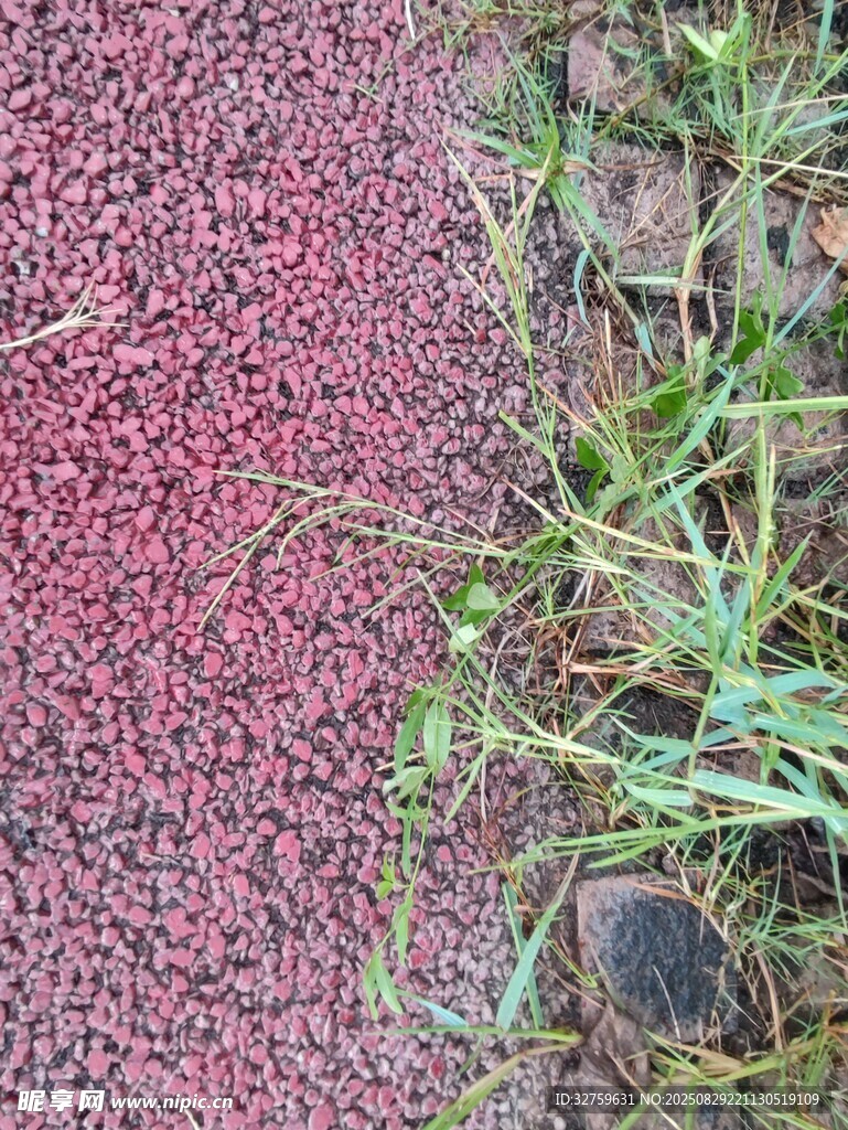 红色路面旁的绿色野草