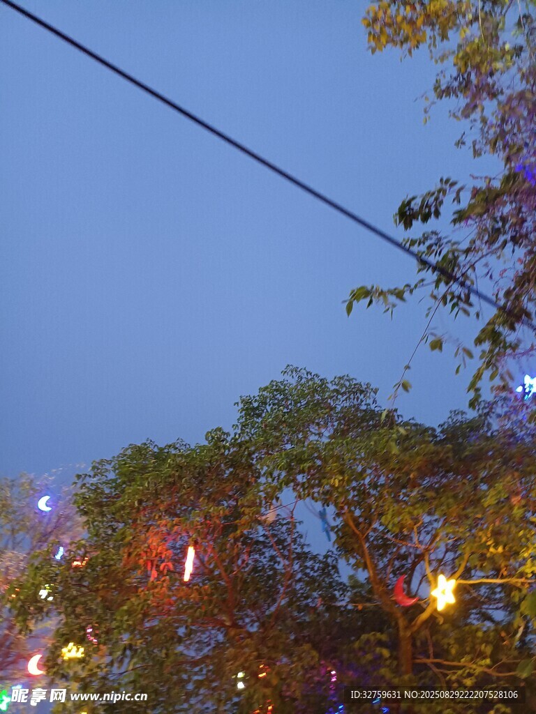 夜幕下的树梢与城市灯火