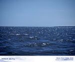 青海湖广阔蔚蓝