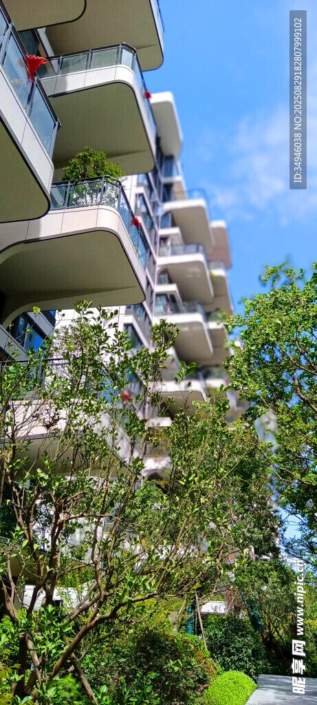 小区绿植环绕的居民楼