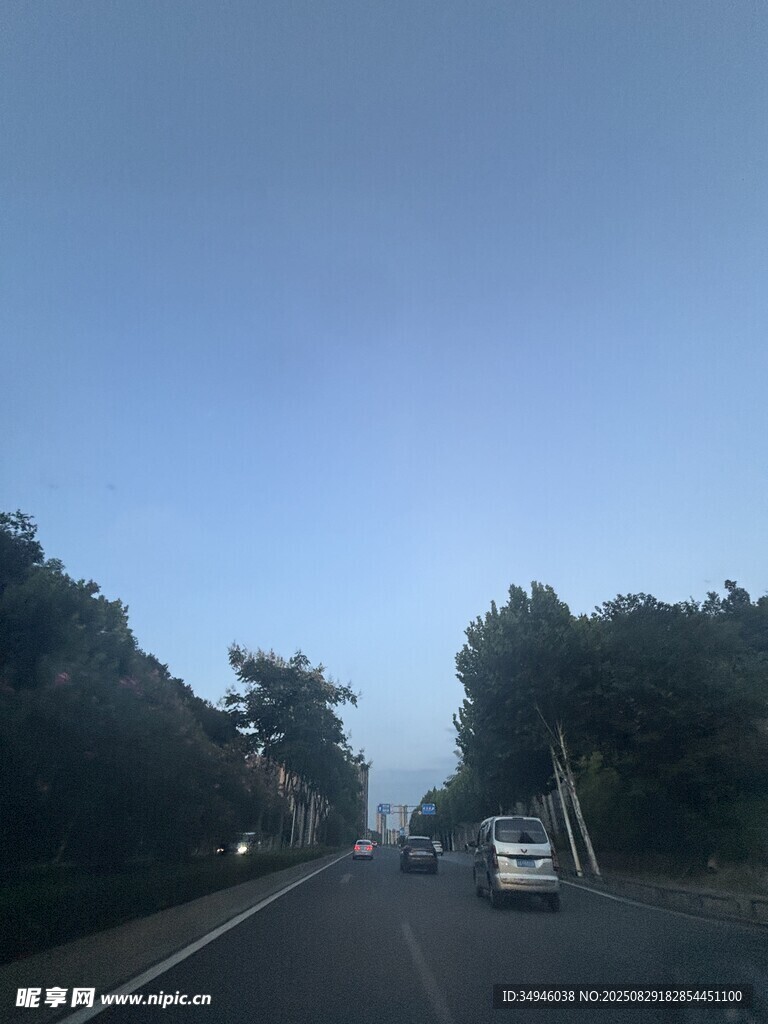 公路上的车辆与两旁树木