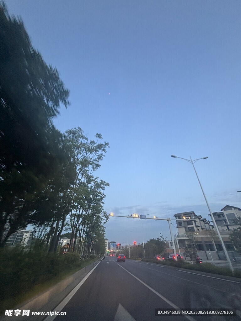 公路旁绿树蓝天的风景