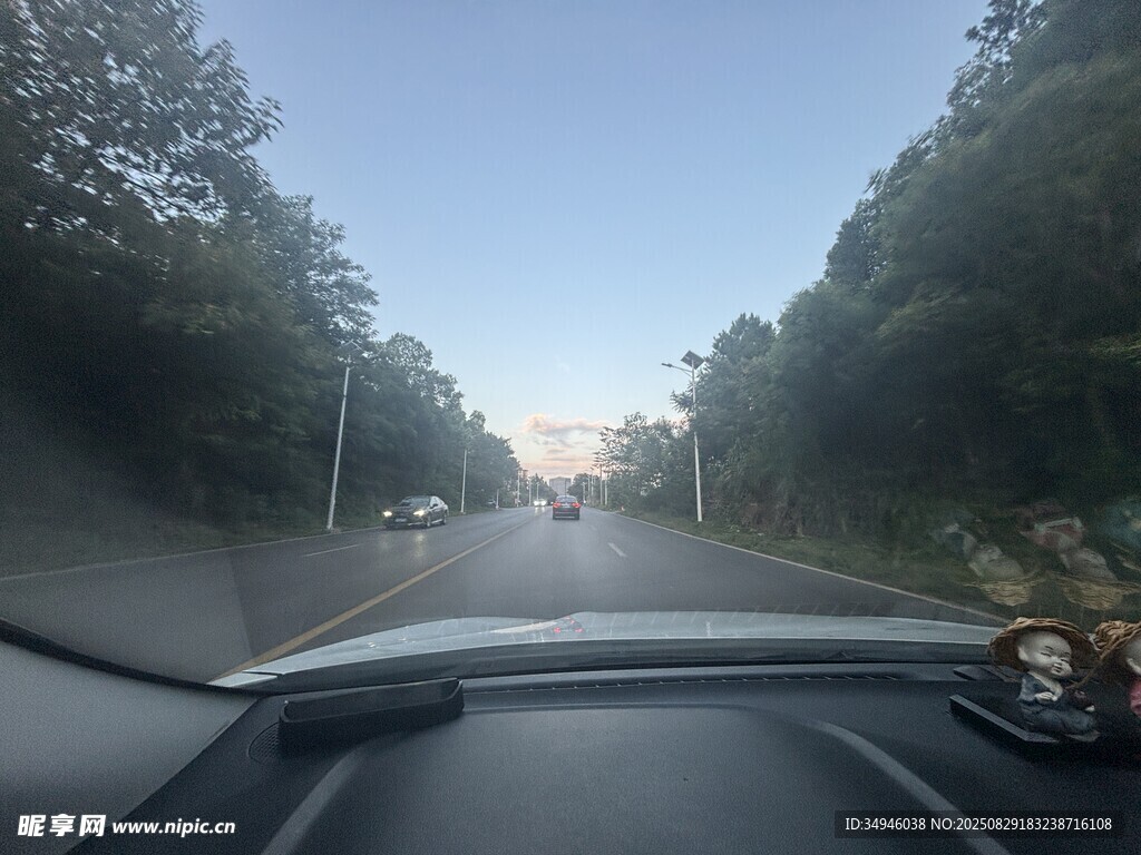 车内视角的林间公路景象