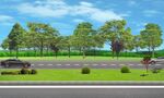田园风光中的宁静景致