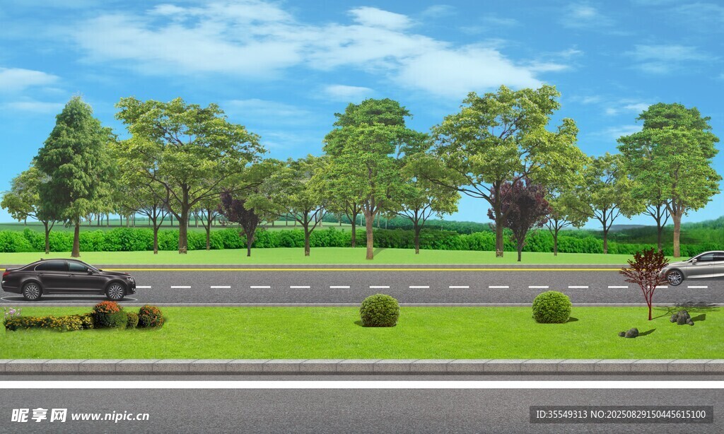 田园风光中的宁静景致