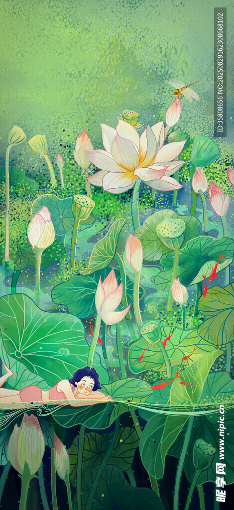 大暑荷花蜻蜓插画手绘海报