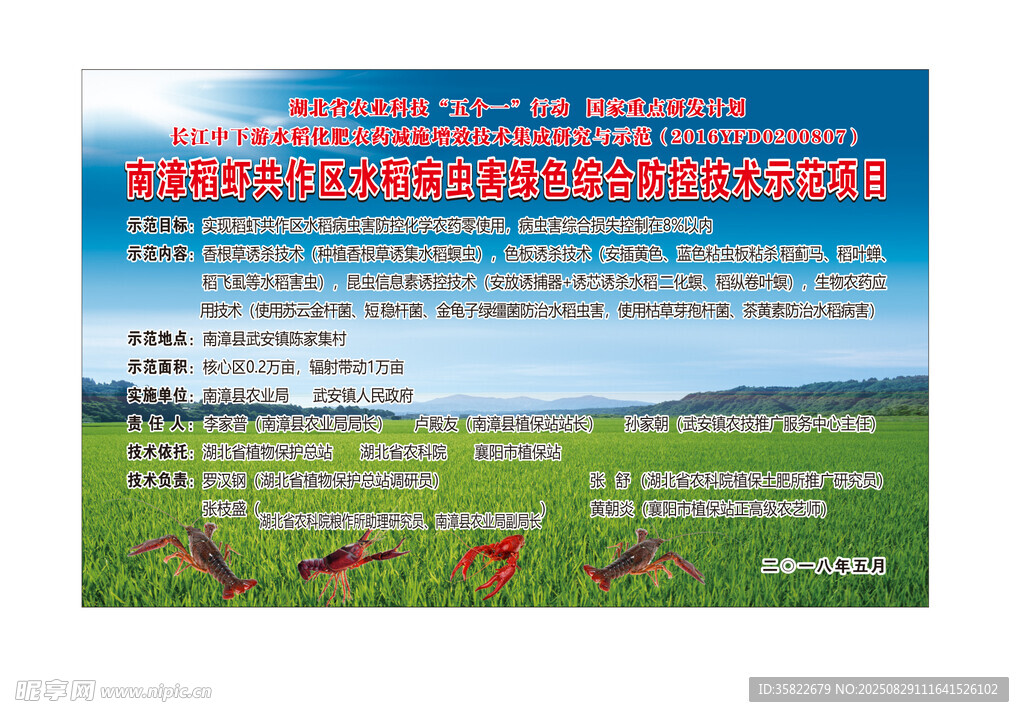 农业稻虾共作
