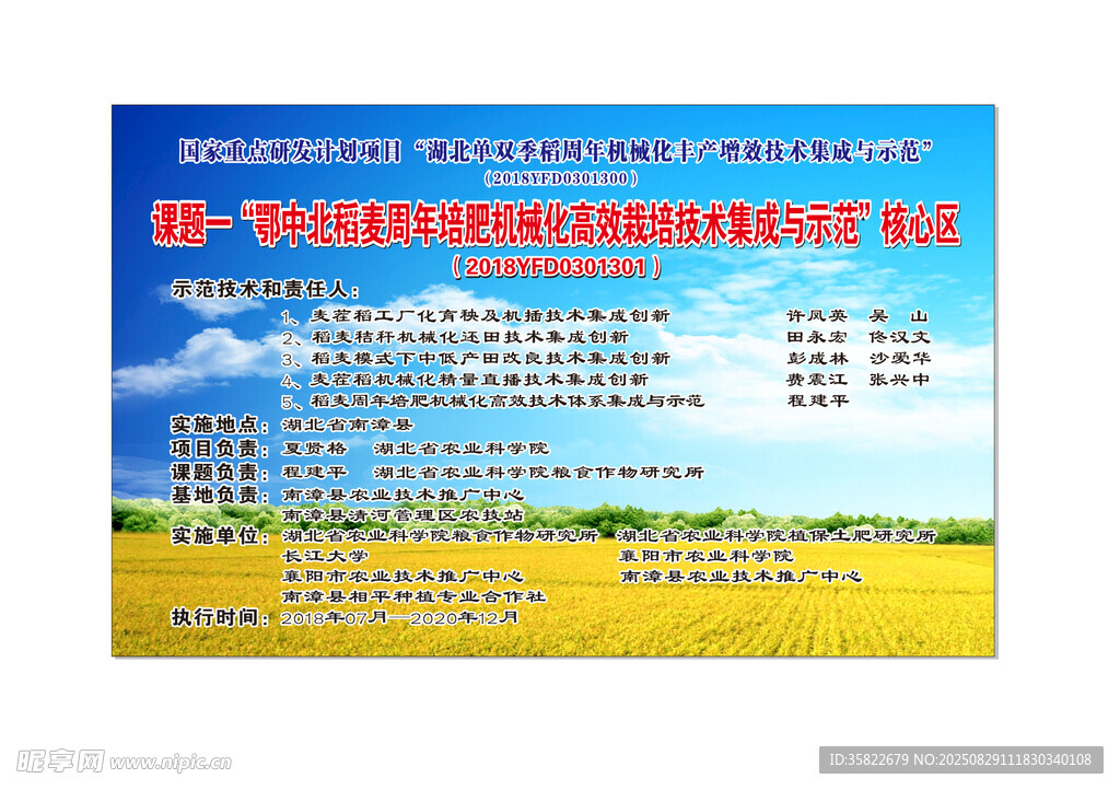 水稻示范片