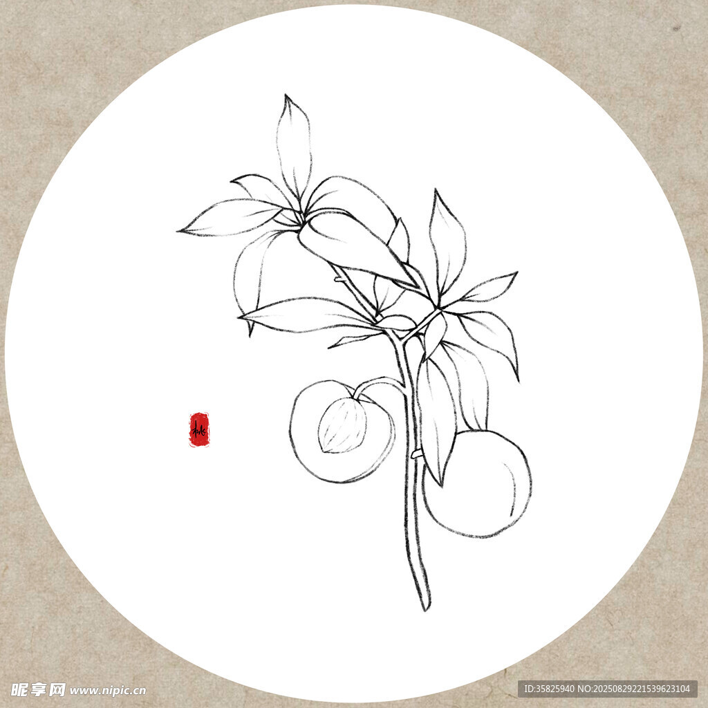 手绘花卉线条图