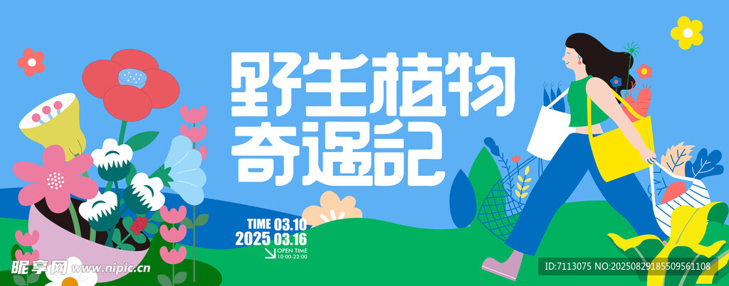 野生植物奇遇记插画