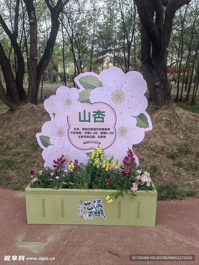 山杏主题花卉景观展示