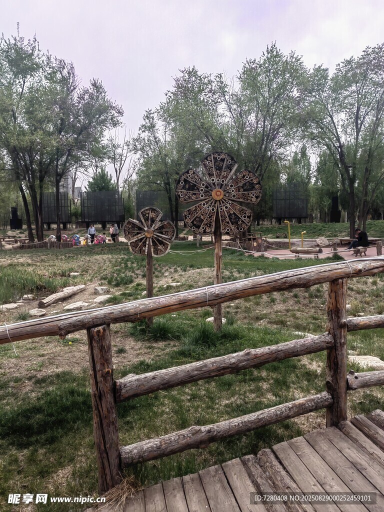木质栈道旁的自然景观