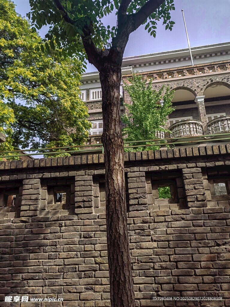 砖墙旁的树木与建筑一角