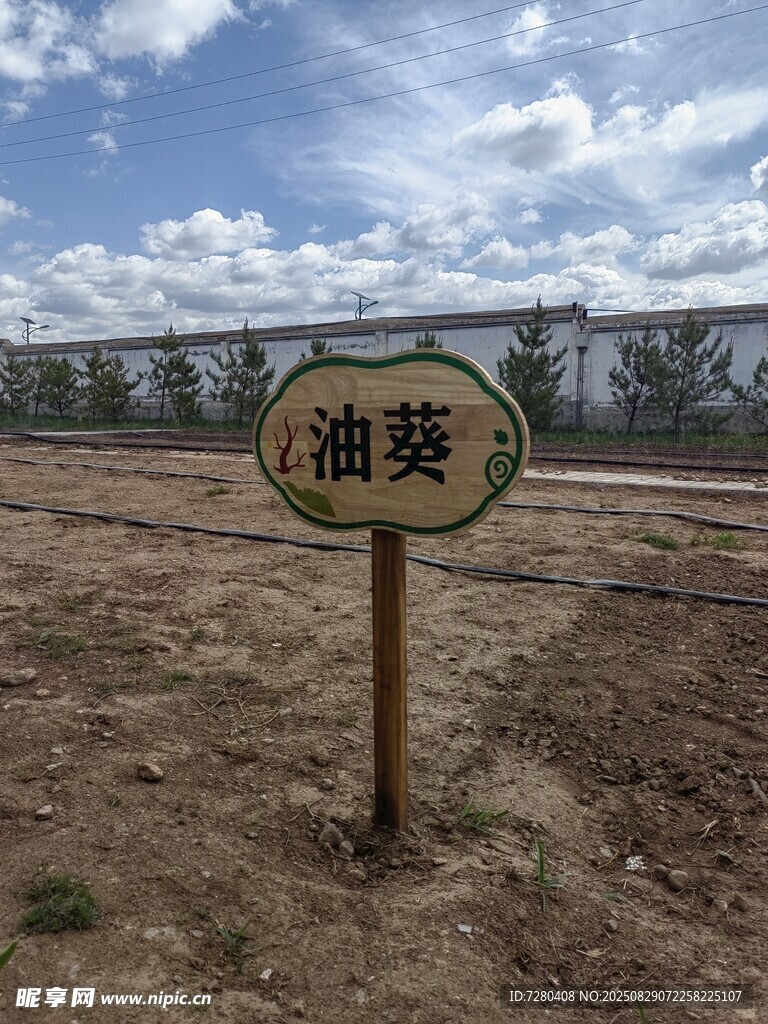 油菜种植区标识牌