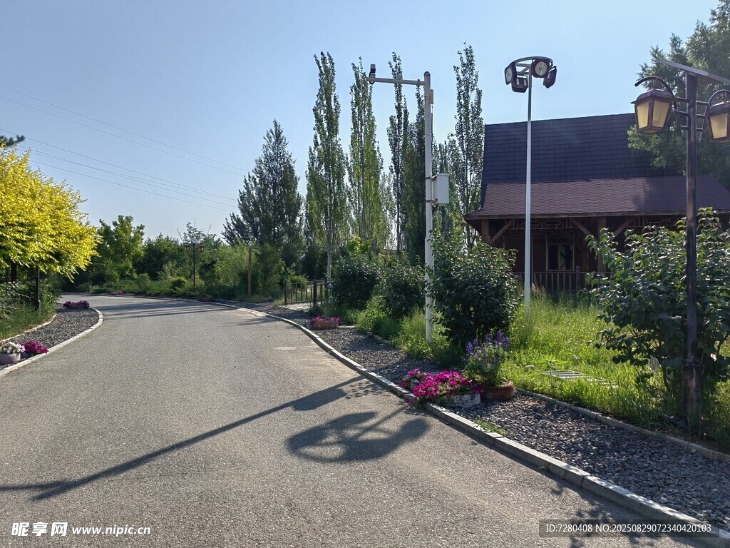 乡村路旁景致
