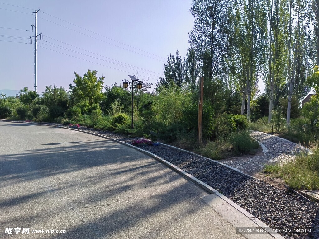 道路旁绿意盎然的自然景致