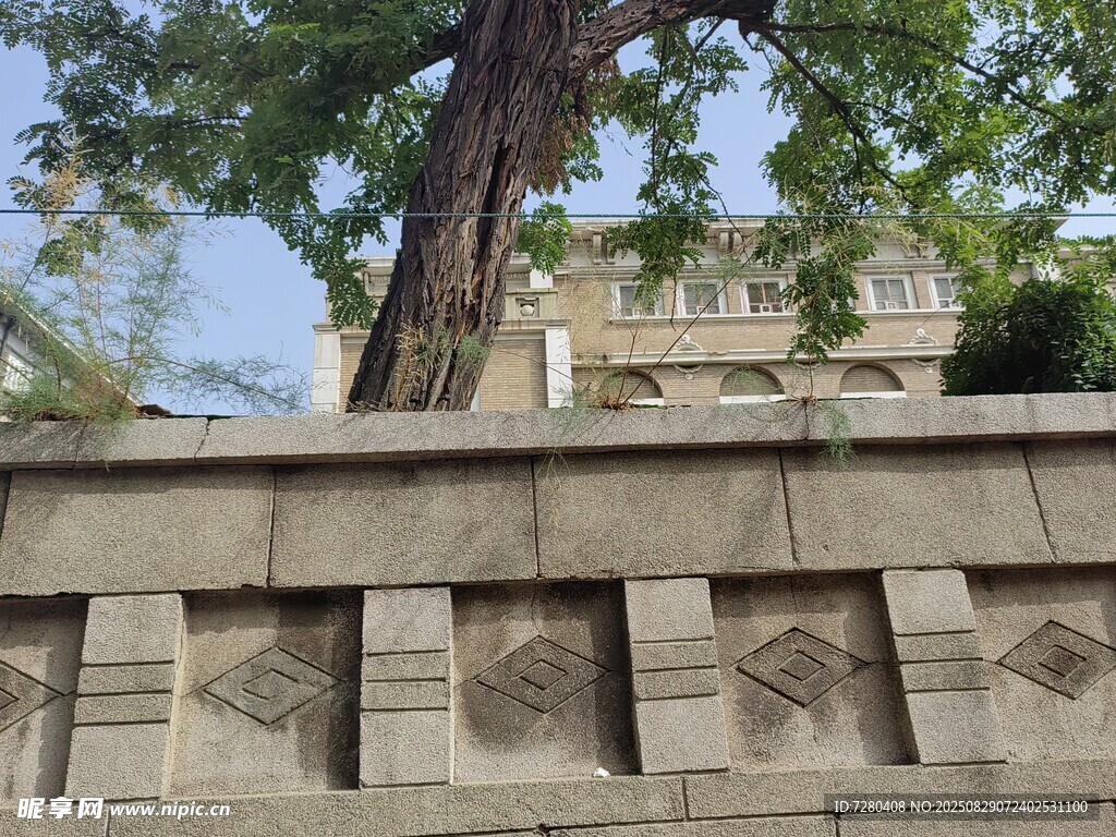 石墙旁的大树与背后建筑